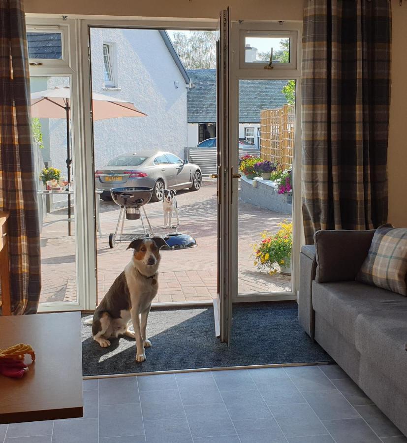 דריימן Braeside Guest House, Loch Lomond מראה חיצוני תמונה